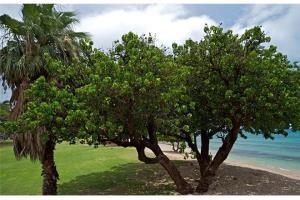 Beautiful Ground Floor! Corner! Just Steps To Ocean And Pool!120 Napili-Honokowai Exterior foto